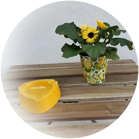 Il Sole Sulla Reggia 公寓